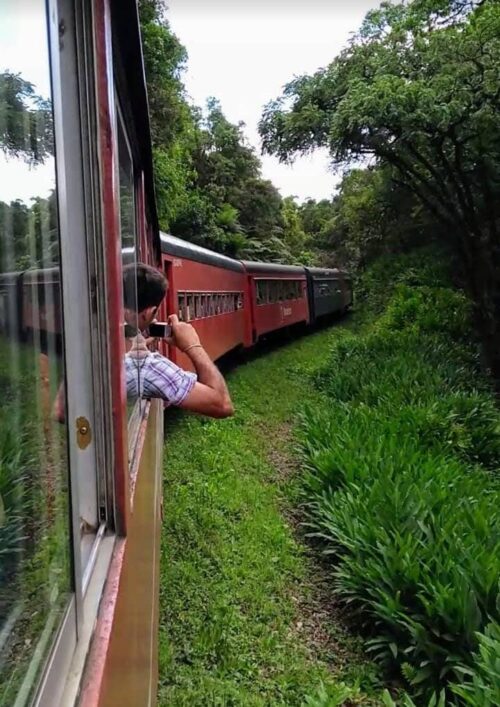 Passeio de Trem Curitiba-Morretes